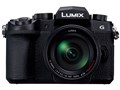 LUMIX DC-G99H WY[YLbg