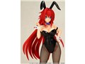 �n�C�X�N�[��D×D 1/6 ���A�X�E�O�������[ �o�j�[ver.