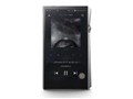 A&ultima SP2000 AK-SP2000-SS [512GB Stainless Steel]
