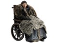 Game of Thrones 1/6 Bran Stark