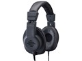 SOUND WARRIOR SW-HP100