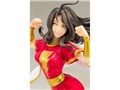 DC COMICS������ 1/7 ���A���[(�V���U���I�t�@�~���[)