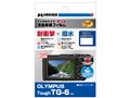 DGFS-OTG6