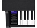 CELVIANO Grand Hybrid GP-310BK [�u���b�N�E�b�h��]
