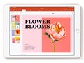 w{́x iPad 10.2C` 7 Wi-Fi 32GB 2019NHf MW762J/A [S[h]̐i摜