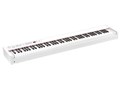 DIGITAL PIANO D1 WH [�z���C�g]