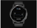 vivoactive 4 010-02174-17 [Black/Slate]