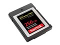 SDCFE-256G-JN4IN [256GB]