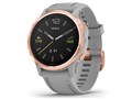 fenix 6S Sapphire 010-02159-73