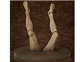 figma ���_����