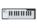 MICROLAB BK [�u���b�N]