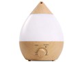 AND�EDECO PETIT htjs-001-wo [�E�b�h]