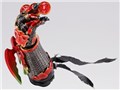 S.H.Figuarts ���ʃ��C�_�[OOO �^�������@�A���N