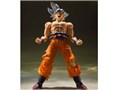 S.H.Figuarts ����� �g����̋Ɉ�