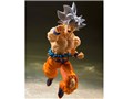 S.H.Figuarts ����� �g����̋Ɉ�