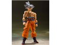 S.H.Figuarts ����� �g����̋Ɉ�
