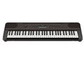 PSR-E360DW [�_�[�N�E�H���i�b�g��]