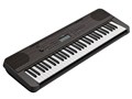 PSR-E360DW [�_�[�N�E�H���i�b�g��]