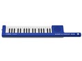 sonogenic SHS-300BU [�u���[]