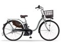PAS With PA24W 2020�N���f�� [�s���A�V���o�[] + ��p�[�d��