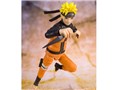 S.H.Figuarts �����܂��i���g BEST SELECTION