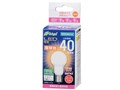 E-Bright LDA4L-G-E17 IH2R1 [�d���F]