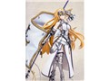 �t���A Fate/Grand Order ���[���[/�W�����k�E�_���N