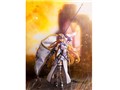 �t���A Fate/Grand Order ���[���[/�W�����k�E�_���N