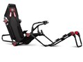 F-GT Lite NLR-S015