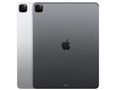 iPad Pro 12.9�C���` ��4���� Wi-Fi 256GB 2020�N�t���f�� MXAU2J/A [�V���o�[]