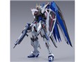 METAL BUILD �t���[�_���K���_�� CONCEPT 2