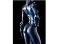 COBRA 1/6 �A�[�}���C�h�E���f�B