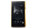 A&ultima SP2000 AK-SP2000SS-VG [512GB Vegas Gold]