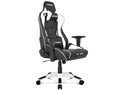 Pro-X V2 Gaming Chair AKR-PRO-X/WHITE/V2 [�z���C�g]