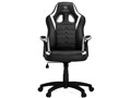 SM115 Gaming Chair SM115_BW [�u���b�N&�z���C�g]