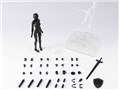 S.H.Figuarts �{�f�B����� DX SET 2 (Solid black Color Ver.)