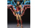 S.H.Figuarts �����_�[�E�[�}�� WW84
