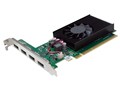 ELSA GeForce GT 730 2GB QD DDR5 GD730-2GERQDD5 [PCIExp 2GB]