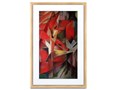 Meural Canvas II MC321LW-10000S [CgEbh]