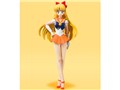 S.H.Figuarts �Z�[���[���B�[�i�X -Animation Color Edition-