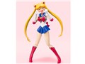 S.H.Figuarts �Z�[���[���[�� -Animation Color Edition-