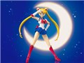 S.H.Figuarts �Z�[���[���[�� -Animation Color Edition-