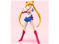S.H.Figuarts �Z�[���[���[�� -Animation Color Edition-