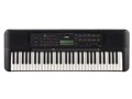 PSR-E273