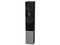 Tannoy Platinum F6 B [�u���b�N �P�i]