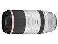 RF100-500mm F4.5-7.1 L IS USM