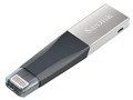 iXpand Mini Flash Drive SDIX40N-256G-GN6NE [256GB]