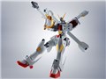 ROBOT�� SIDE MS �N���X�{�[���E�K���_��X1/X1�� EVOLUTION-SPEC