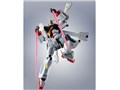 ROBOT�� SIDE MS �N���X�{�[���E�K���_��X1/X1�� EVOLUTION-SPEC