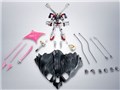 ROBOT�� SIDE MS �N���X�{�[���E�K���_��X1/X1�� EVOLUTION-SPEC